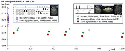 Brain Metabolite Diffusion from Ultra-Short to Ultra-Long Time Scales: What Do We Learn, Where Should We Go?